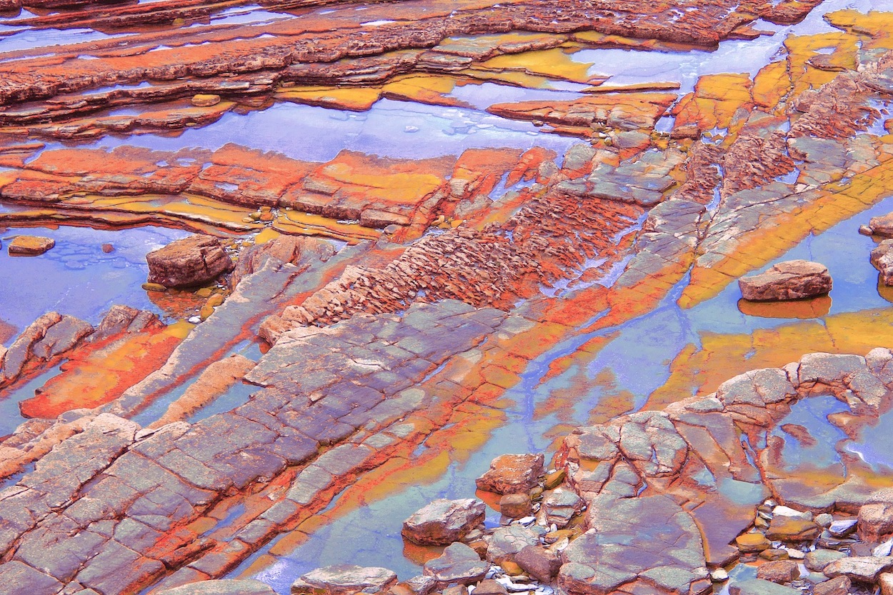 roche multicolore II